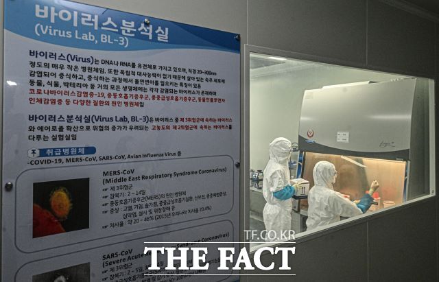 생물안전 3등급 연구시설 안에서 실험 중인 모습. /경기도보건환경연구원