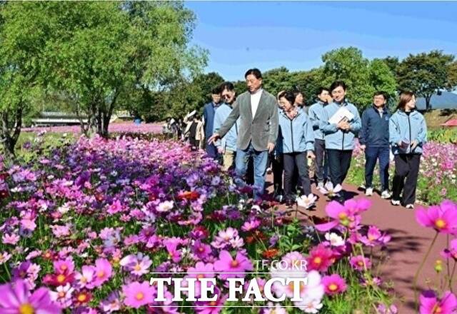김한종 장성군수가 가을꽃축제장을 찾아 코스모스 꽃길을 걷고 있다. /장성군