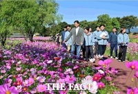 장성가을꽃축제, 개막 이틀째 관광객 가을 만끽