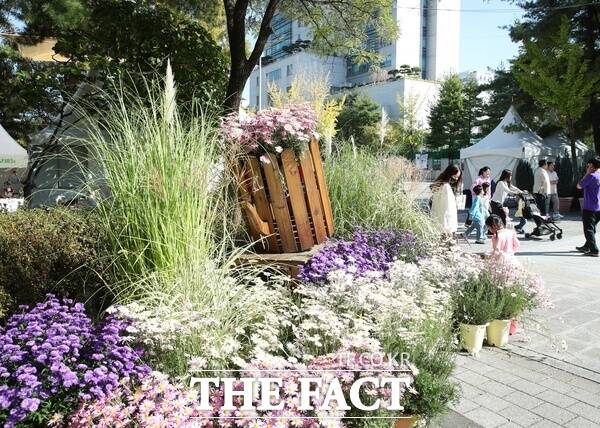 9일 2026 대전 서구 힐링아트페스티벌 현장 모습. /대전시 서구