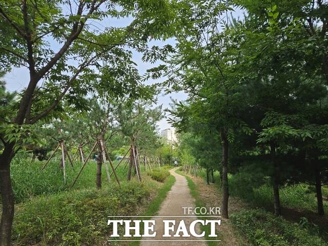 인천시 미추홀구에 조성된 기후대응 도시숲. /인천시