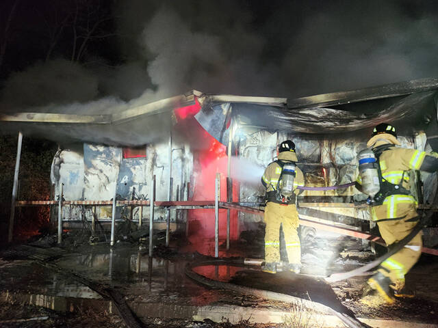13일 오전 4시 29분쯤 성주군 용암면 문명리의 한 돈사에서 화재가 발생해 자돈 약 500마리가 폐사했다. /경북소방본부