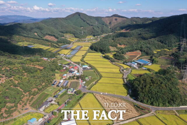 정부의 내년 농어촌 기본소득 시범지역 신청에 금산군·부여군·서천군·예산군·태안군 등 충남 지역 5개 군이 모두 공모에 나설 것으로 파악됐다. 청양군 대치면 형산리 전경. /청양군