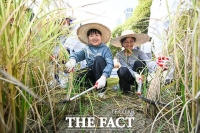  꼬마 농부들의 '도심 속 가을걷이' [TF사진관]