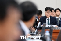  의원 질의 듣고 답하는 인태연 소진공 이사장 [포토]