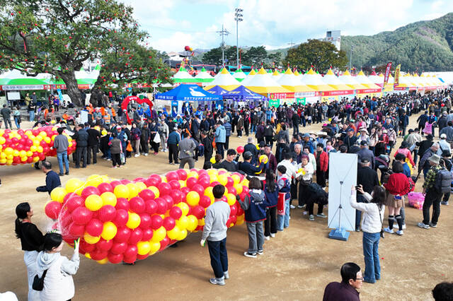 청송사과축제가 온라인에서도 뜨거운 인기를 얻으며 11월 4일 개막하는 제20회 청송사과축제의 기대감이 고조되고 있다. /청송군