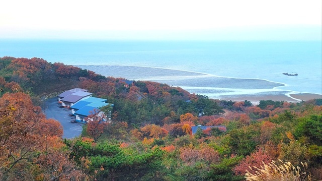 단풍과 함께 숲해설 프로그램과 산림치유 체험을 연계하면 한층 충만한 휴식도 취할 수 있다. /국립자연휴양림관리소