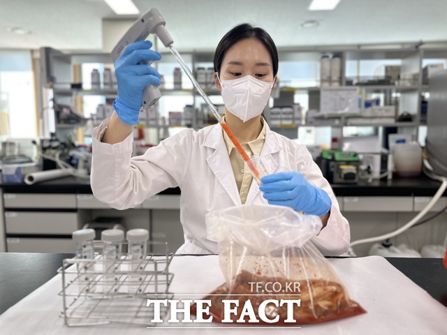 전남광주시 전남보건환경연구원이 김장철을 앞두고 식중독 예방을 위해 배추김치와 지하수, 영유아 시설 등에 대한 노로바이러스 감시를 강화한다. /전남보건환경연구원