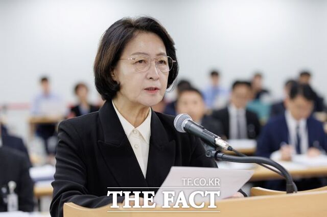 국회 국토교통위원회의 경기도 국정감사에서 발언하는 추미애 경기도지사. /경기도
