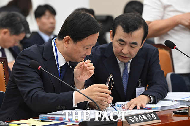 이찬진 금융감독원장이 증인 선서를 하고 있다.
