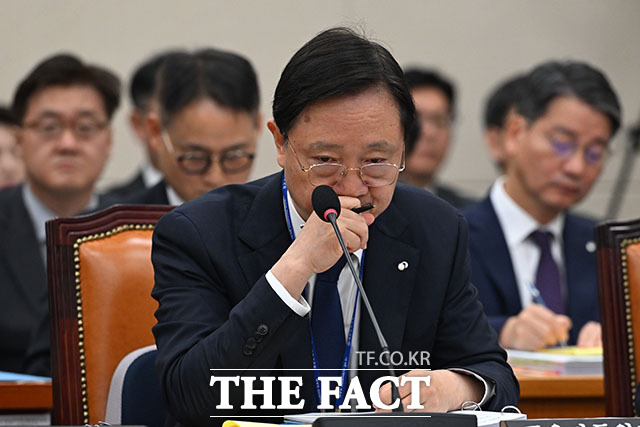이찬진 금융감독원장이 증인 선서를 하고 있다.