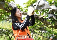  한화투자증권, 가족과 함께 '사랑의 배 나눔' 봉사활동…취약계층에 1.5톤 전달