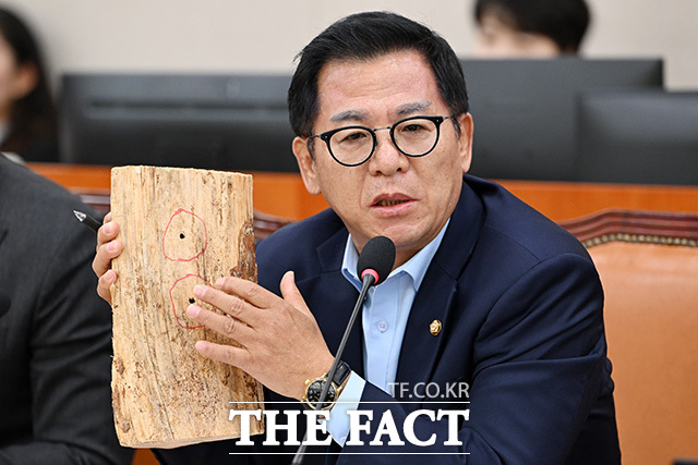 이상휘 국민의힘 의원이 20일 오전 서울 여의도 국회에서 열린 농림축산식품해양수산위원회의 산림청 등에 대한 국정감사에서 재선충 감염 소나무를 들어보이며 박은식 산림청장에게 질의를 하고 있다. /국회=남용희 기자