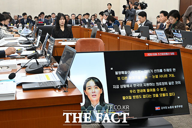 北 김여정 발언 등장한 국정감사장.