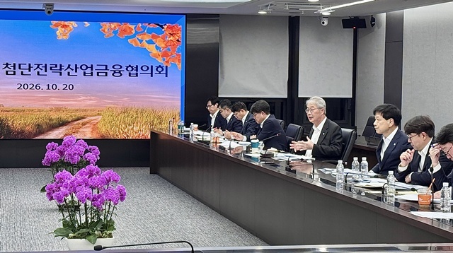 지난 20일 서울 중구 우리금융그룹 본사에서 임종룡 회장 주재로 '10월 첨단전략산업금융협의회'가 열렸다. 이 자리에서 임 회장은 지난 1년간의 생산적·포용금융 성과를 점검하고, 앞으로는 자금 공급 규모뿐 아니라 중소기업·지방 기업에 대한 지원 비중을 높이고 성장과 건전성의 균형을 유지할 것을 강조했다. /우리금융그룹