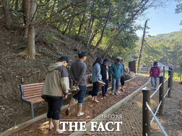 시민들이 성거산 보명사 인근 등산로에 조성된 맨발 황톳길을 걷고 있다. /천안시