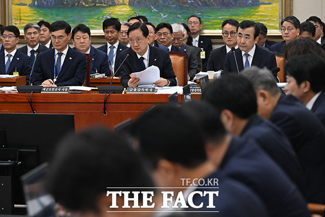 이찬진 금융감독원장이 지난 19일 오전 서울 여의도 국회에서 열린 정무위원회의 금융감독원 등에 대한 국정감사에 출석해 의원 질의에 답변하고 있다. /국회=서예원 기자