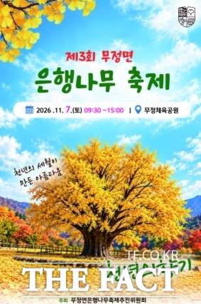 담양군 은행나무 축제 포스터. /담양군
