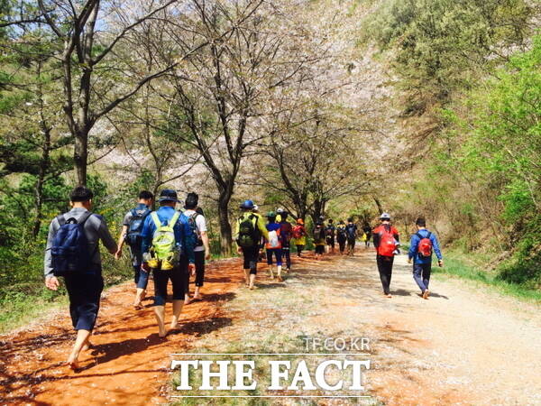 선양소주가 자사의 핵심 사회공헌활동인 계족산황톳길을 앞세워 대한민국을 대표하는 사회공헌 우수 프로그램을 뽑는 제1회 시슐랭 스타 본선에 진출했다. 시민들이 계족산황톳길을 걷는 모습. /선양소주