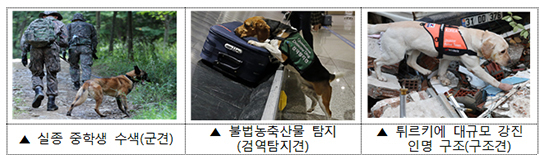 인천국제공항 1터미널 인천공항세관에서 마약 탐지견이 마약탐지 시범을 보이고 있다./더팩트DB