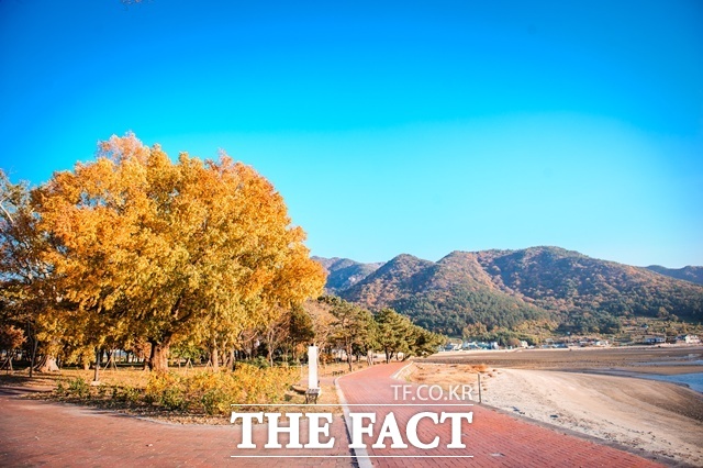 남해군이 신전숲 정원화 사업을 본격적으로 추진한다. /남해군
