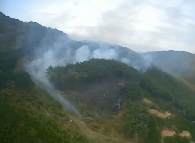 19일 충남 서천군 비인면에서 산불이 나 하얀색 연기가 피어 오르고 있다. /뉴시스(산림청 제공)