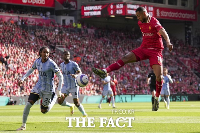 리버풀이 우승을 확정한 토트넘과 홈 경기에서 코디 학포(오른쪽)가 슛을 하고 있다./리버풀=AP.뉴시스