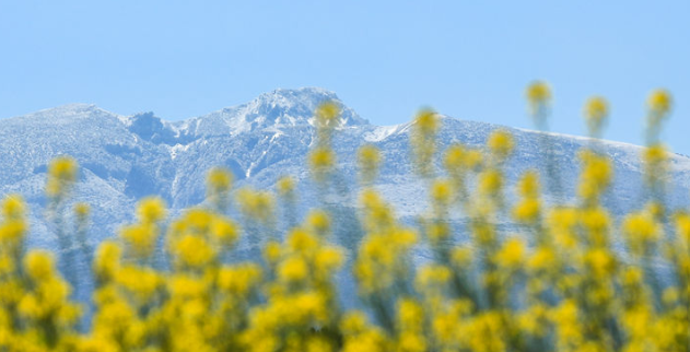 환경부는 29일 제주돌문화공원에서 유네스코 국제보호지역 글로벌 연구·훈련센터(GCIDA) 개소식을 개최했다. 사진은 지난 15일 제주시 도두이동에서 바라본 한라산. / 뉴시스