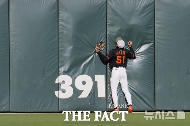 이정후가 18일(한국시간) 애슬레틱스전서 1회초 어려운 타구를 잡아낸 뒤 펜스에 부딪치고 있다. /샌프란시스코=AP.뉴시스