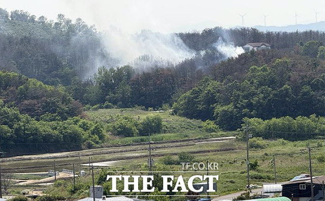29일 오후 1시52분께 경북 포항시 남구 동해면 신정리 인근 야산에 해군 항공사령부 소속 P-3 해상초계기가 추락한 가운데 사고 현장에서 연기가 피어 오르고 있다. /뉴시스