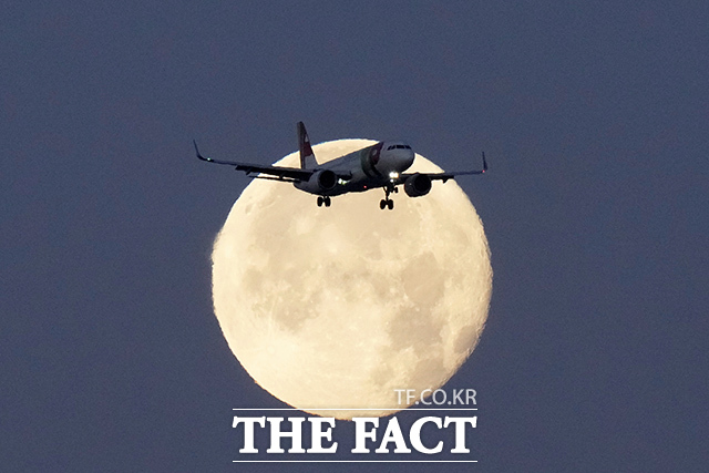 전 세계 항공사에서 약 1만1500대가 운항되고 있는 에어버스 A320이 '급강하 사고' 우려로 일시 운항 정지될 전망이다. 사진은 에어버스 A320의 모습. /AP.뉴시스