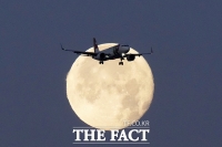  에어버스 A320 '급강하 사고' 우려로 대규모 리콜