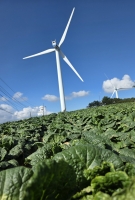  2030년 육상풍력 6GW 보급…발전단가 낮추고 터빈 300기 공급