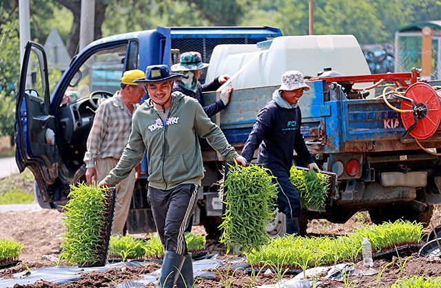 지난해 6월 캄보디아 출신 계절근로자들이 충북 괴산군 연풍면의 한 농가에서 옥수수 파종과 순 제거 작업에 구슬땀을 흘리고 있다./뉴시스