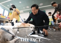  오세훈 