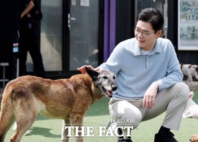 정원오 더불어민주당 서울시장 후보가 10일 서울 동대문구 도그어스플래닛에서 진행된 '정원오가 간다-찾아가는 서울人터뷰 반려동물편'에서 김효진 도그어스플래닛 대표와 강아지들의 상태를 살피고 있다. 2026.05.10./뉴시스