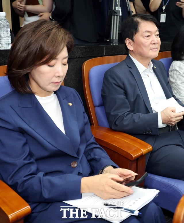 위기 수습에 앞장서야 할 중진들마저 개인의 이해타산에 따라 흩어지면서 당의 리더십 공백과 혼란은 장기화 국면에 접어들었다는 지적이 나온다. 사진은 나경원(왼쪽), 안철수 국민의힘 의원이 지난달 30일 여의도 국회에서 열린 의원총회에 참석하고 있는 모습. /뉴시스