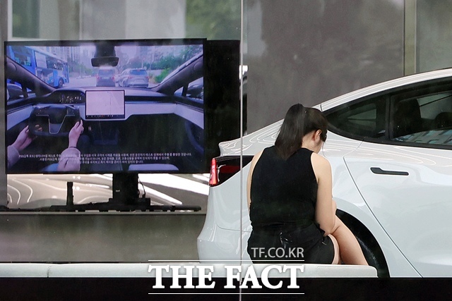중국의 대규모 리콜에 이어 미국도 안전기준 강화에 나서면서 테슬라가 확산시킨 매립형 도어 손잡이가 퇴출 기로에 섰다. /뉴시스
