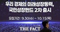  완판 실패한 2차 국민펀드, 코스피 연쇄 폭락 탓?…손실 우려는