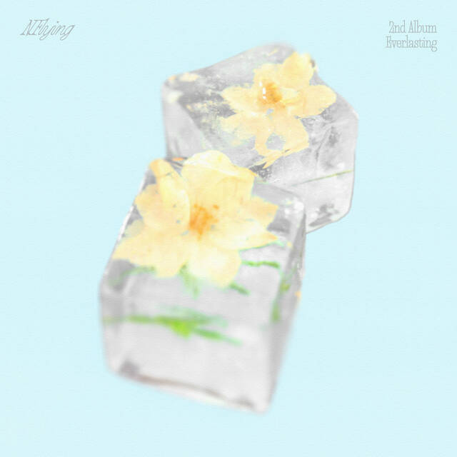 그룹 엔플라잉은 지난 28일 만년설을 발매했다. / FNC엔터테인먼트