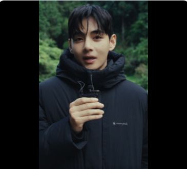 방탄소년단 뷔가 스노우피크 어패럴 공식 SNS를 통해서 연말 인사를 전했다. /스노우피크 어패럴 X캡처