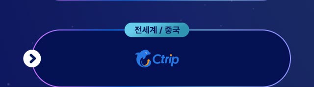 전세계 중국